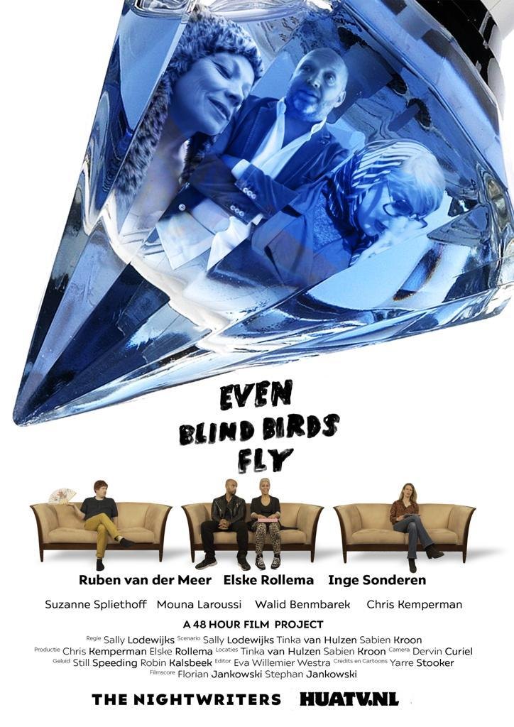 Even Blind Birds Fly poster