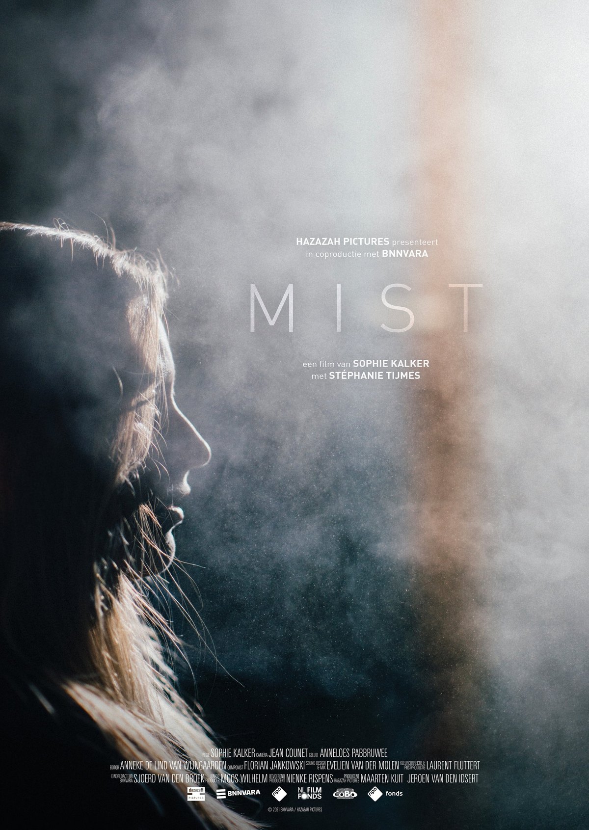 Mist poster